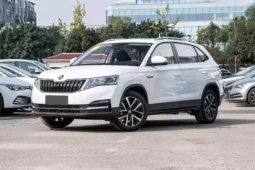 
										Škoda KAMIQ full									