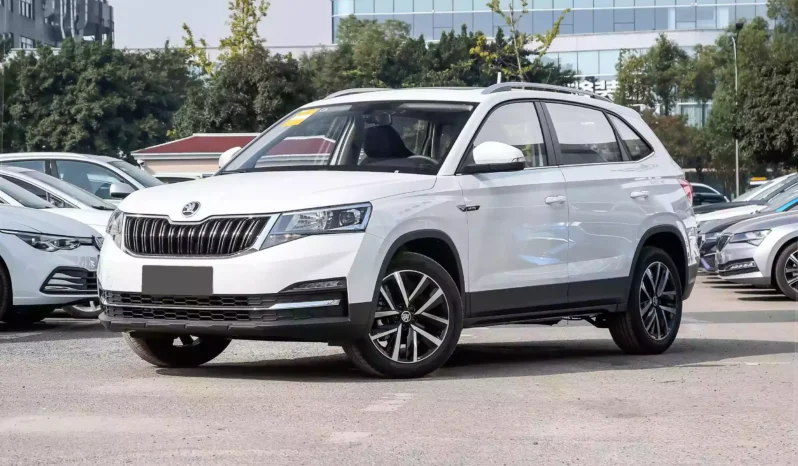 
								Škoda KAMIQ full									