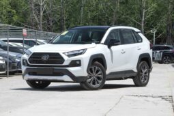 
										Toyota RAV4 full									