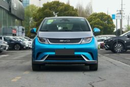 
										BYD Dolphin full									