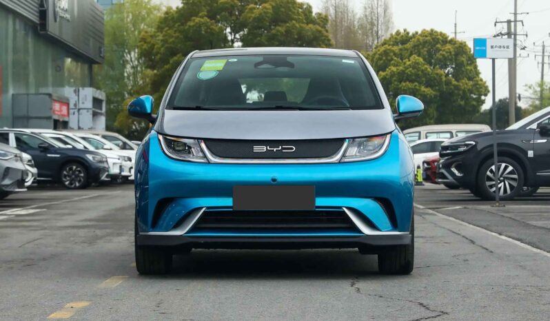 
								BYD Dolphin full									