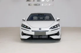 Denza Z9GT DM
