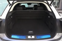 
										Hongqi E-HS9 full									