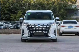 Denza D9 DM-i