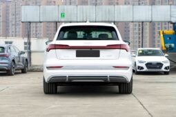 
										Audi e-tron full									